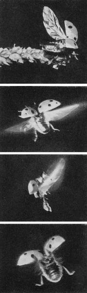 Журнал «Вокруг Света» №05 за 1960 год TAG_img_cmn_2009_02_16_008_jpg572081