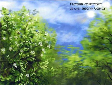 Космос. Школьный путеводитель i_015.jpg