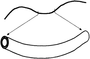 Истина и красота. Всемирная история симметрии. i_050.png