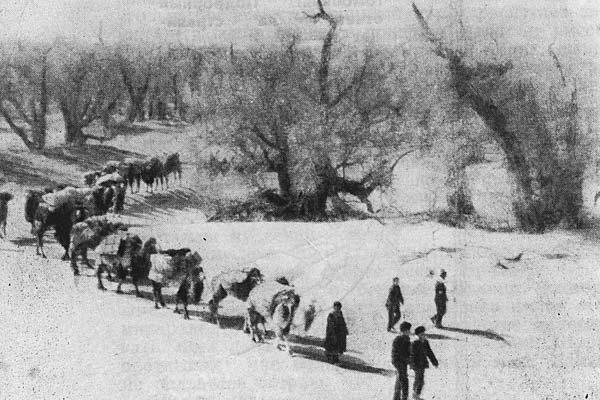Журнал «Вокруг Света» №01 за 1960 год TAG_img_cmn_2008_12_30_005_jpg815854