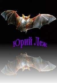 Искажение (роман в двух книгах)