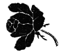 Роковой бал img01.png