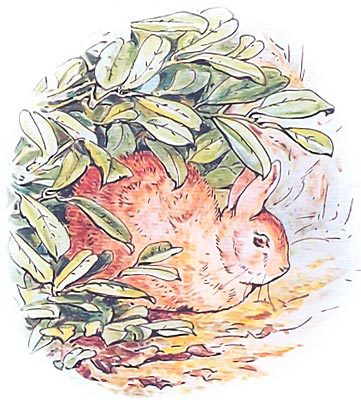 Кролик Питер и его друзья i_028.jpg