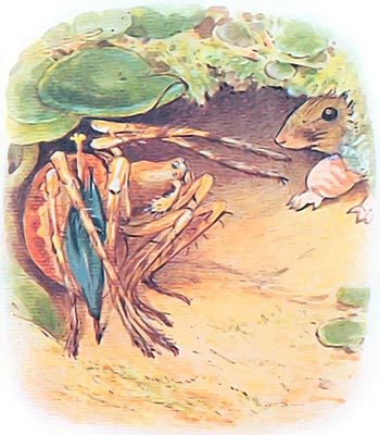 Кролик Питер и его друзья i_043.jpg