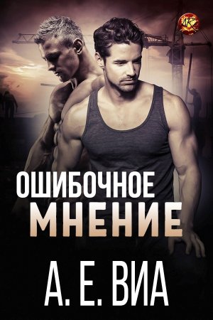Ошибочное мнение