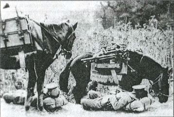 Япония. Незавершенное соперничество i_129.jpg