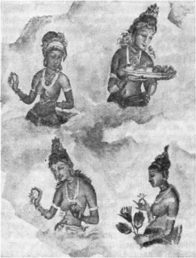 Краски далекого острова image12.png