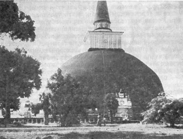 Краски далекого острова image3.png