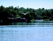 Фивы img1B22.jpg