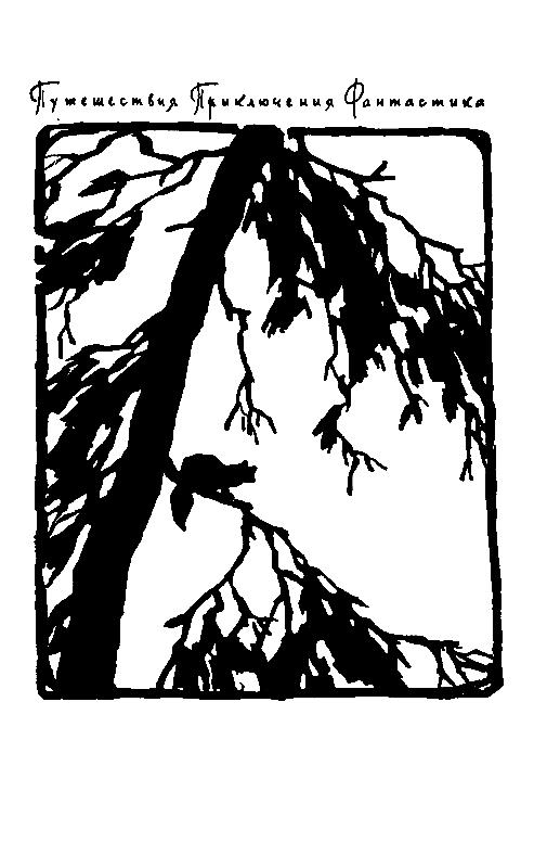 За черным соболем (с илл.) pic_1.png