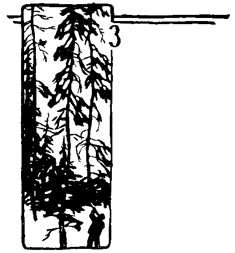 За черным соболем (с илл.) pic_3.png