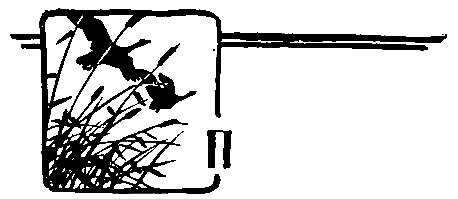 За черным соболем (с илл.) pic_9.png