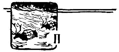 За черным соболем (с илл.) pic_10.png