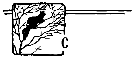 За черным соболем (с илл.) pic_15.png