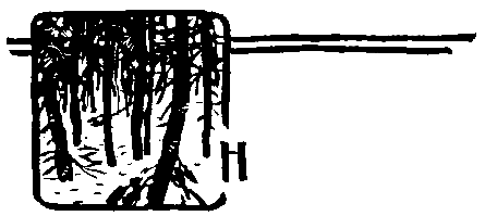 За черным соболем (с илл.) pic_19.png