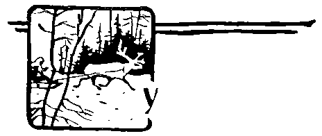 За черным соболем (с илл.) pic_20.png