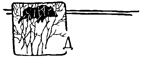 За черным соболем (с илл.) pic_21.png