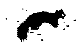 За черным соболем (с илл.) pic_23.png