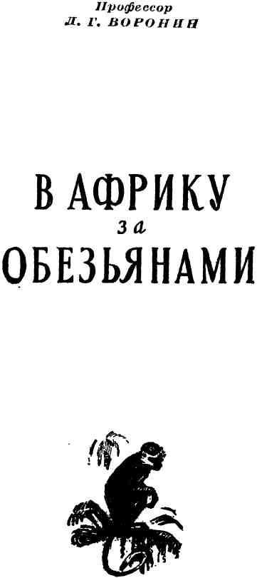 В Африку за обезьянами img_1.jpeg