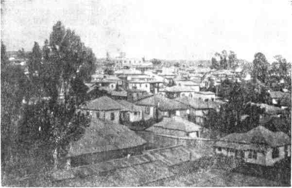 В Африку за обезьянами img_30.jpeg