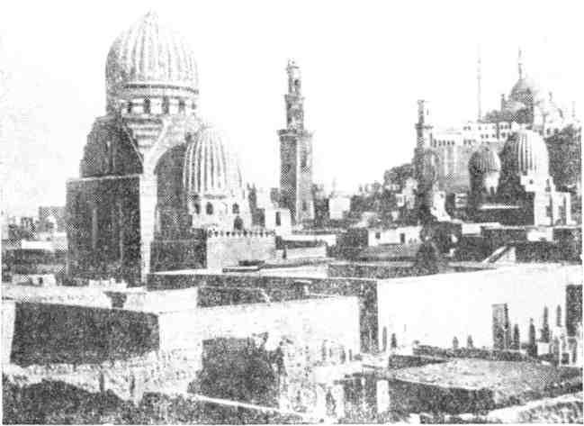 В Африку за обезьянами img_13.jpeg