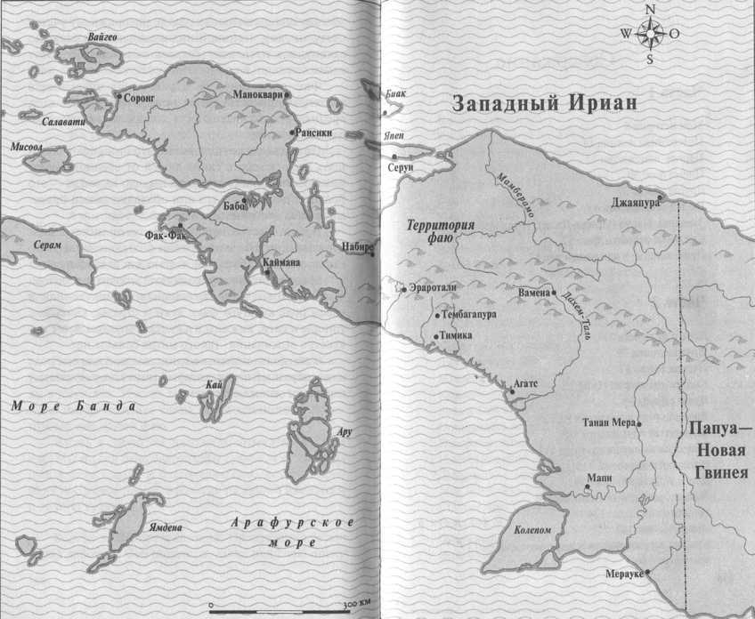 Ребенок джунглей: Реальные события i_095.jpg