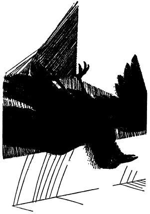 Шагающий каприз [Striding Folly] (3 рассказа) _00004.jpg