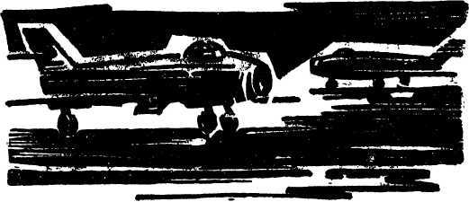 Нелетная погода (сборник) i_002.jpg