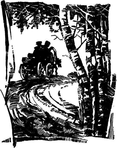 Нелетная погода (сборник) i_007.jpg