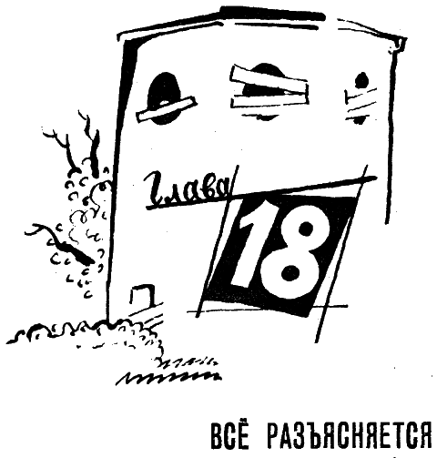 Зеленые маски (с илл.) i_094.png
