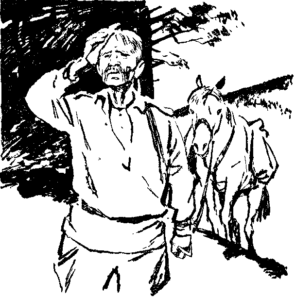 Песня о теплом ветре i_020.png