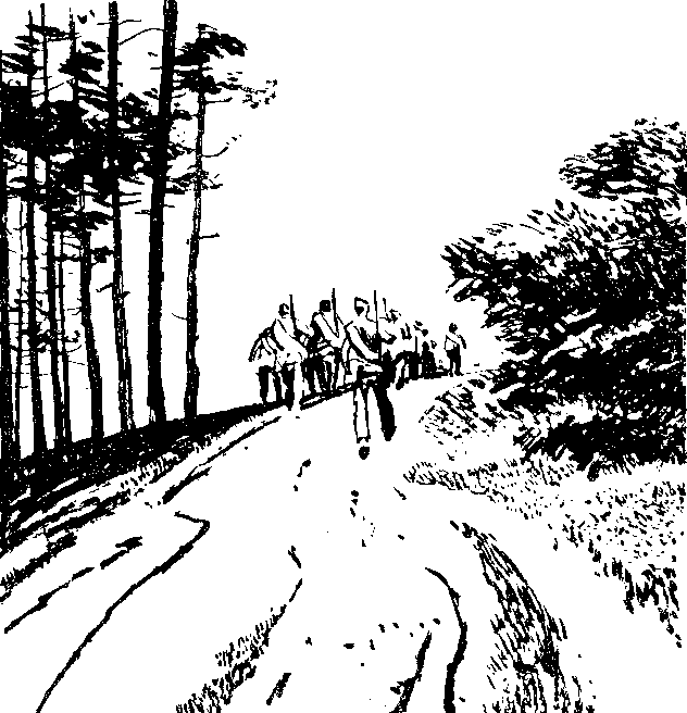 Песня о теплом ветре i_003.png