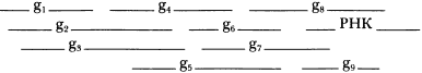 Далекое будущее Вселенной Эсхатология в космической перспективе img_5.png