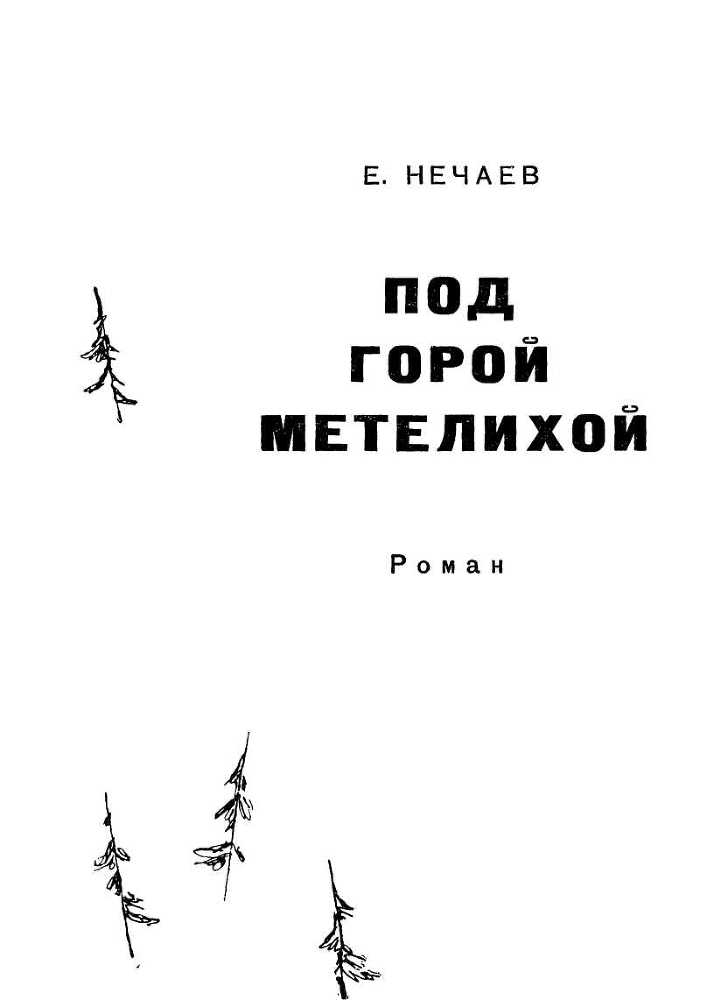 Под горой Метелихой i_002.jpg