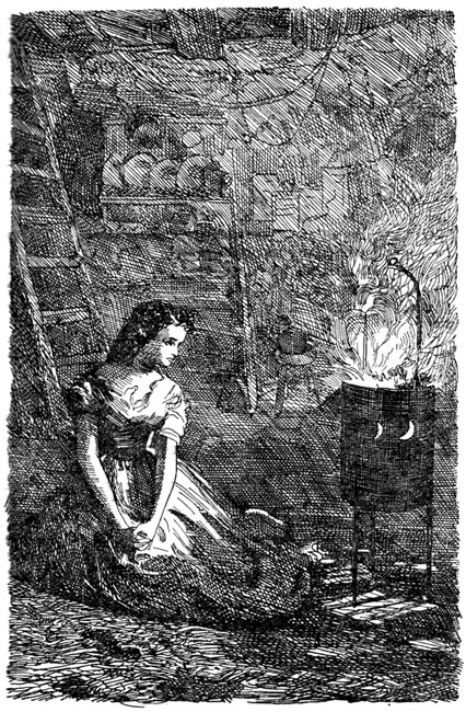 Наш общий друг (с илл.) i_010.png