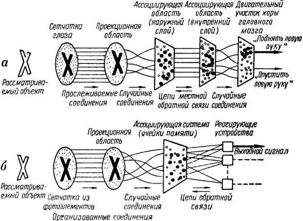 Что такое бионика i_030.jpg