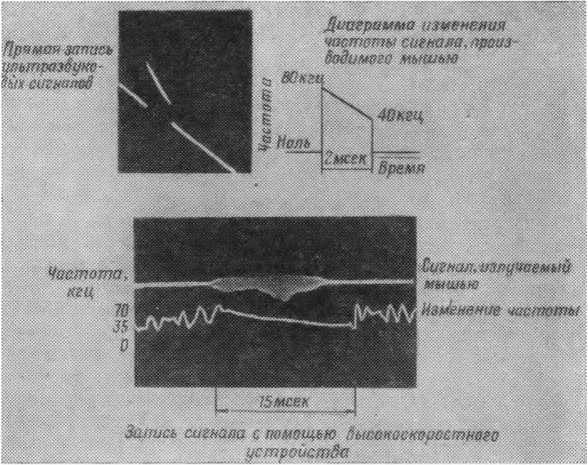 Что такое бионика i_007.jpg