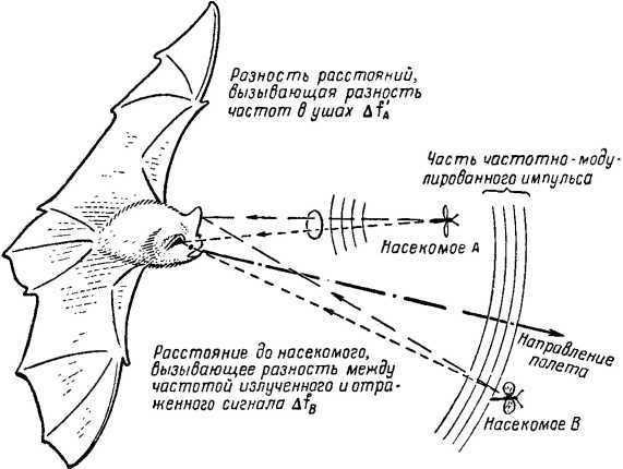 Что такое бионика i_008.jpg