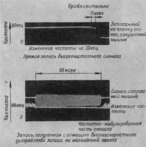 Что такое бионика i_009.jpg