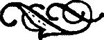 Белая гардения i_001.png