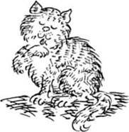 Леди Кошка pic_1.jpg