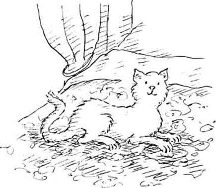 Леди Кошка pic_51.jpg