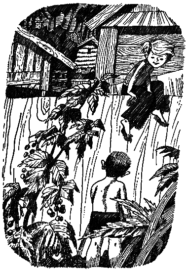 Петька i_008.png