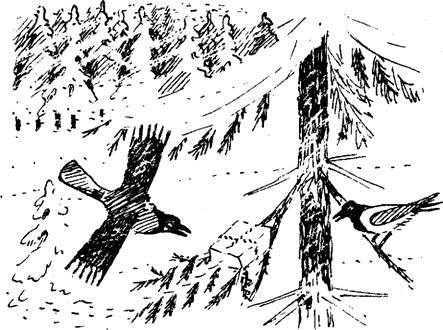 Аврора из корпуса «Ц» i_005.png