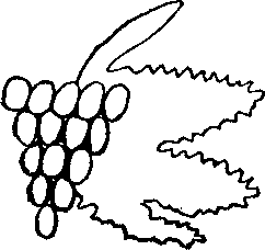 Пятьсот двадцать головоломок _166_1.png