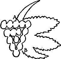 Пятьсот двадцать головоломок _313_1.png