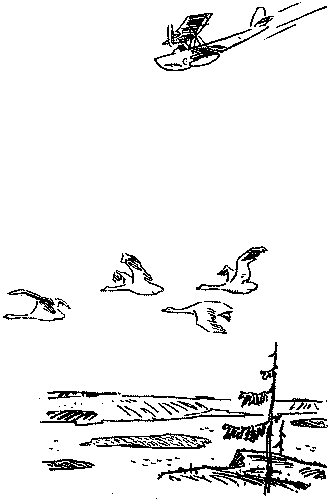 Я тебе верю pic_518.png