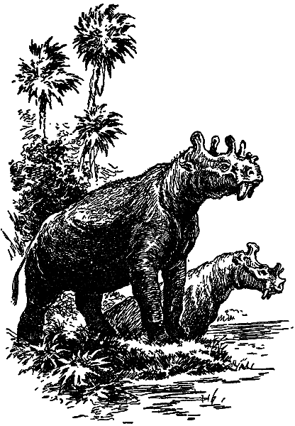 Загадки материков и океанов i_064.png