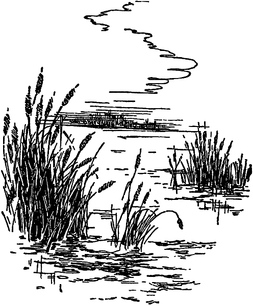 Загадки материков и океанов i_093.png