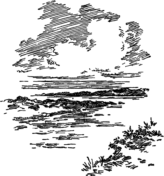Загадки материков и океанов i_105.png